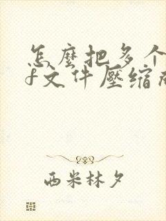 怎么把多个pdf文件压缩成压缩包