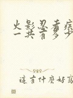 火影忍者疾风传一共有多少集