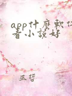 app什么软件看小说好