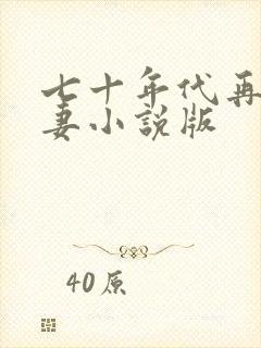 七十年代再婚夫妻小说版