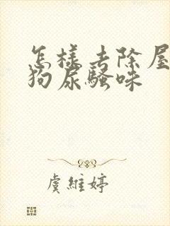 怎样去除屋里的狗尿骚味