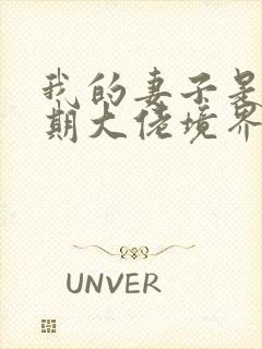 我的妻子是大乘期大佬境界等级