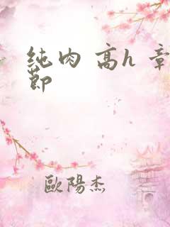 纯肉 高h 章节