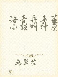 洛青舟秦蒹葭的小说叫什么