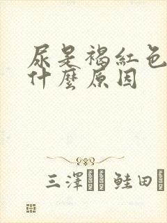 尿是褐红色的是什么原因