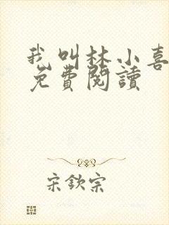 我叫林小喜全部免费阅读