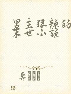 男主狠辣的重生末世小说