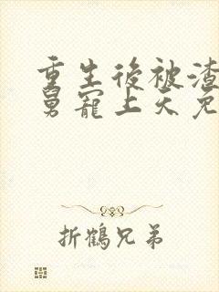 重生后被渣男舅舅宠上天免费播放