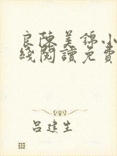 良陈美锦小说在线阅读免费