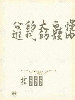 公的大龟慢慢挺进我的体内小说