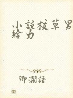 小说校草男神超给力