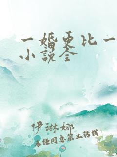 一婚更比一婚高小说全