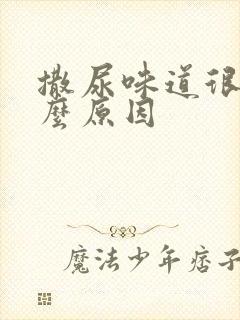 撒尿味道很重什么原因