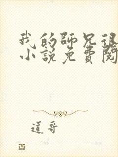 我的师兄很稳健小说免费阅读