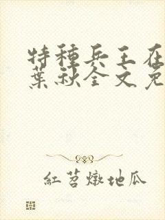 特种兵王在山村叶秋全文免费阅读