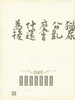 为什么公猫绝育后还会乱尿