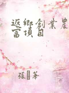 返乡创业农民致富项目