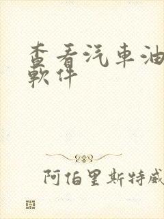 查看汽车油耗的软件