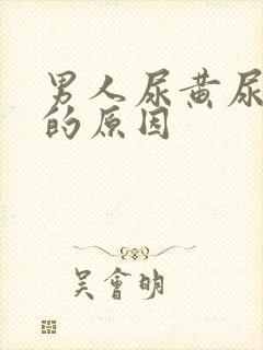 男人尿黄尿味骚的原因