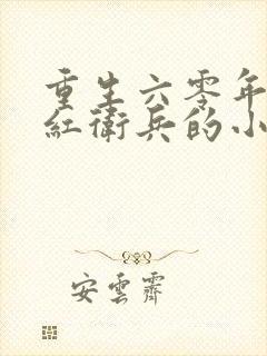 重生六零年代偷红卫兵的小说