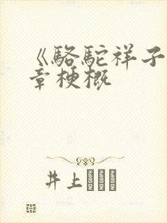 《骆驼祥子》各章梗概