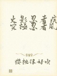 火影忍者疾风传究极忍者风暴4代充