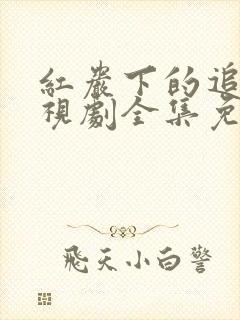 红岩下的追捕电视剧全集免费观看处长