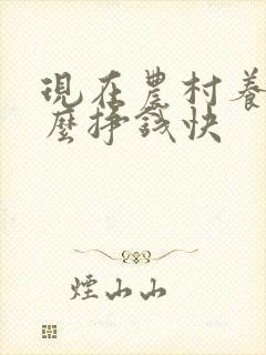 现在农村养殖什么挣钱快