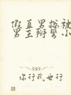 假直男总被言情男主掰弯小说