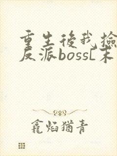 重生后我捡到了反派boss[末世]