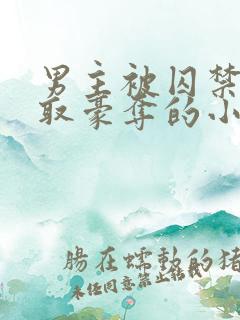 男主被囚禁被强取豪夺的小说