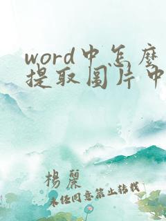 word中怎么提取图片中的文字