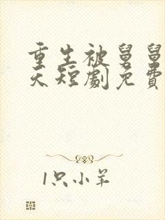 重生被舅舅宠上天短剧免费观看