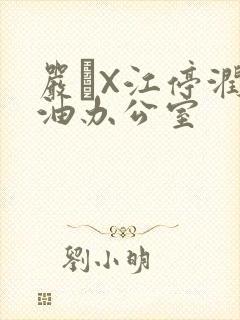 严峫X江停润滑油办公室