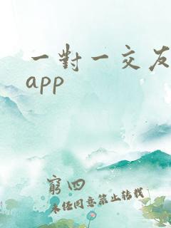 一对一交友平台app
