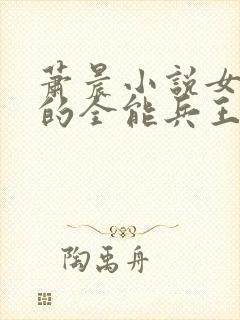 萧晨小说女总裁的全能兵王