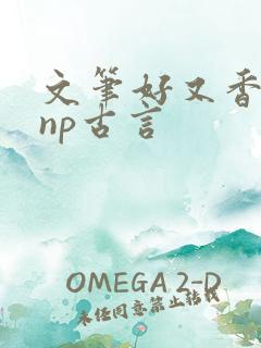 文笔好又香艳的np古言