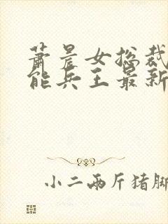 萧晨女总裁的全能兵王最新章节更新列表