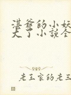 湛爷的小妖精长大了小说全文免费阅读