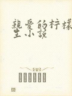 亲爱的柠檬精先生小说