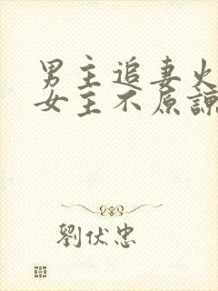 男主追妻火葬场女主不原谅