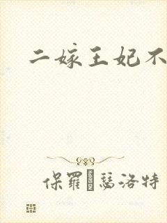 二嫁王妃不好惹