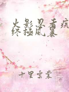 火影忍者疾风传终极风暴