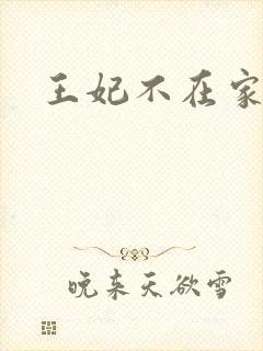 王妃不在家