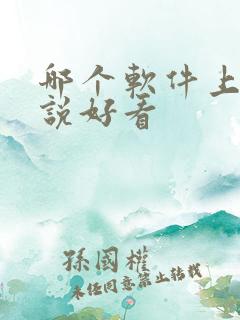 哪个软件上的小说好看