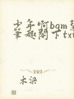 少年啊bgm慧笔趣阁下txt