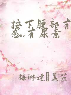 按下腹部有疼痛感,有尿意