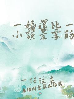 一婚还比一婚高小说晨雾的光