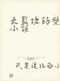 太监攻的双男主小说