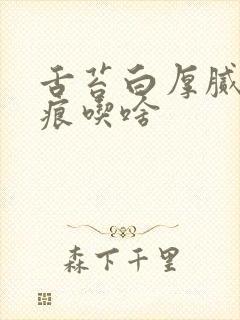 舌苔白厚腻有齿痕吃啥